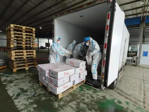 嚴管筑牢防線，四川首個進口冷鏈食品集中監管倉在廣漢啟用